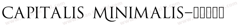 Capitalis Minimalis字体转换